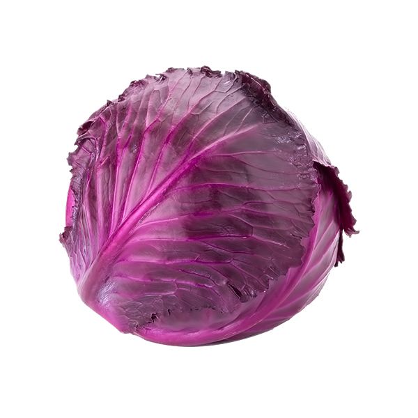 Cabbage - Red - ea