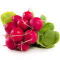 Radish - Pre Packed - 200g