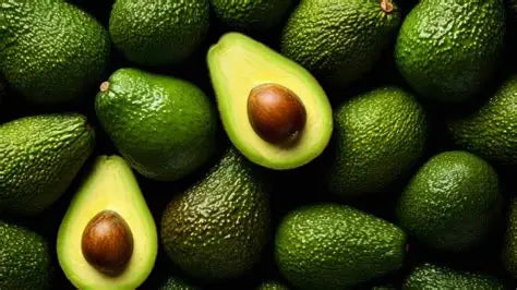 Avocado - 3x small