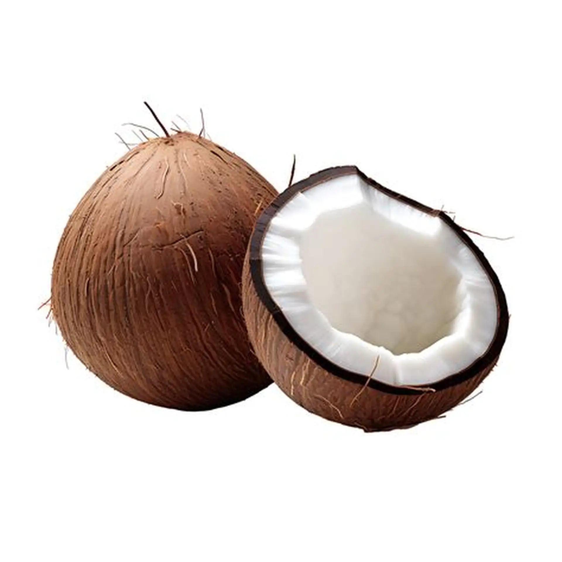 Coconut - ea