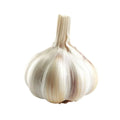 Garlic - New Zealand Grown - 1 bulb