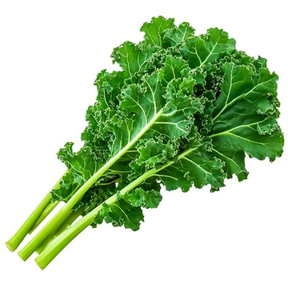 Kale - bunch