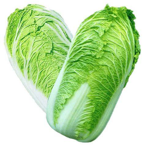 Cabbage - Chinese - ea