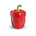 Capsicum - Red - ea