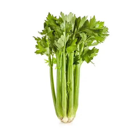 Celery - ea