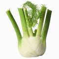 Fennel Bulb - ea