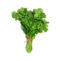 Coriander - bunch