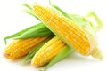 Corn - ea