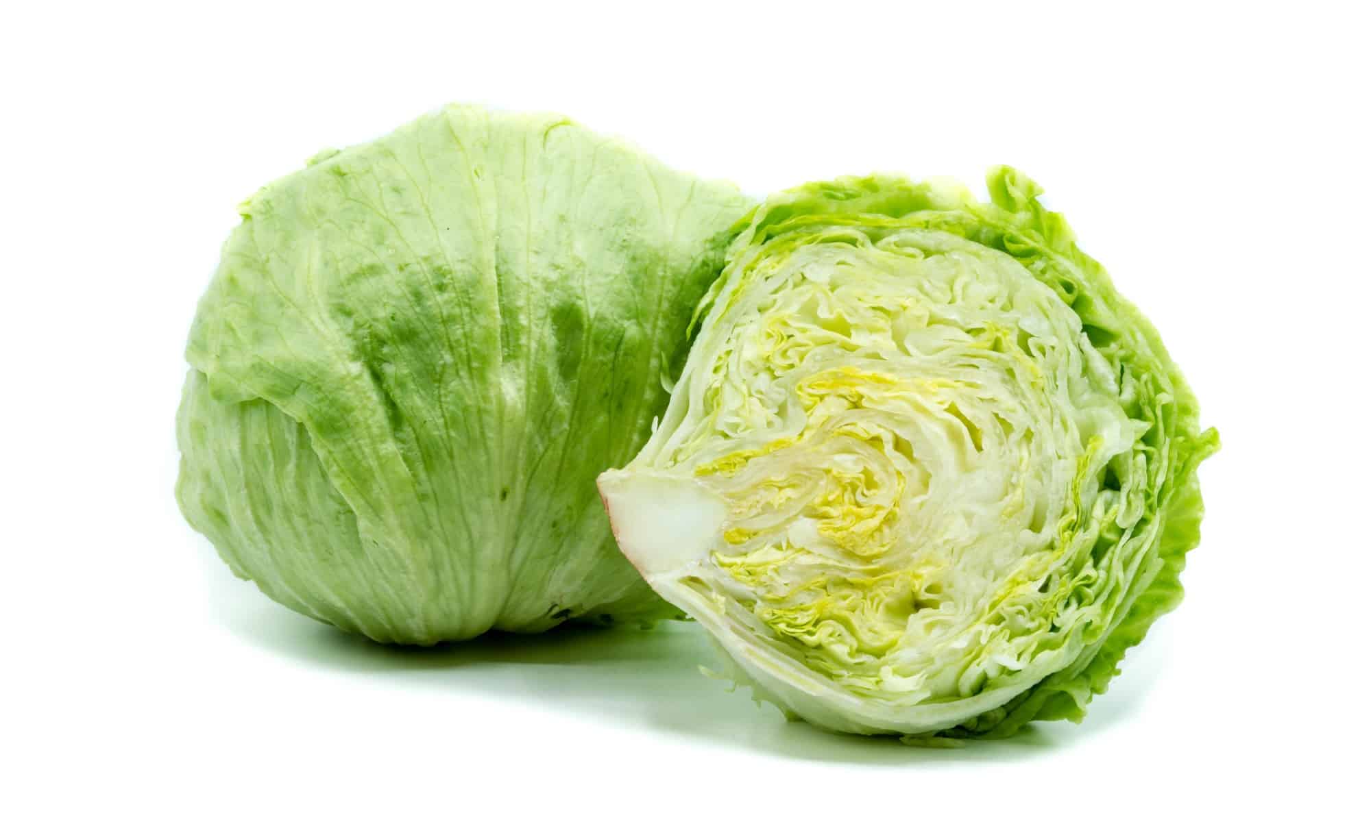 Lettuce - Iceberg - ea