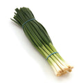 Spring Onion - Bunch